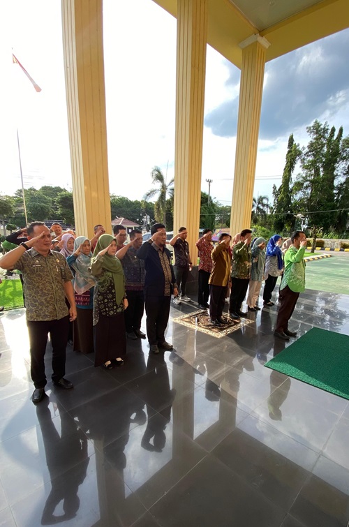 apelsore2
